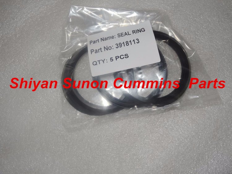 3918113 Seal Dust Shield, Ön krank Keçe Bagası QSC8.3 Cummins Motor İş Makinası Yedek Parça