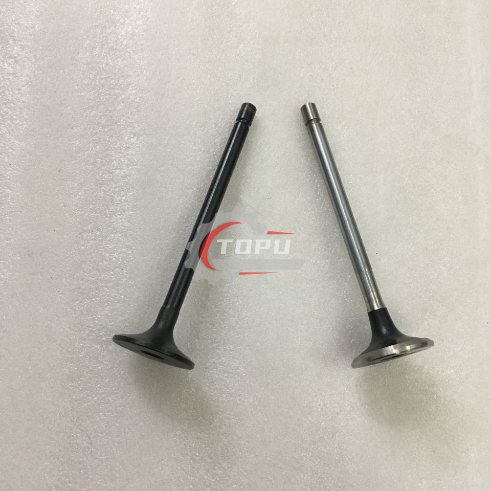 894395-8820 Intake Valve 6HK1 Motor ISUZU Engine Intake Valve İş Makinası Yedek Parça